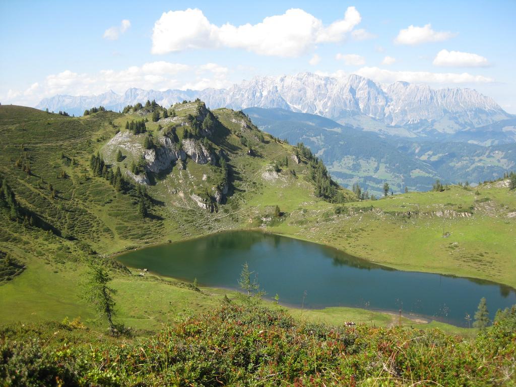 Bergparadies Dorfgastein Bagian luar foto